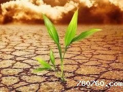 测土配方施肥仪给出正确施肥方案