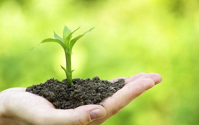 高精度土壤养分检测仪 高精度土壤养分检测仪