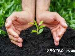 肥料养分检测仪的应用帮助农业生产