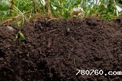 关于肥料养分快速检测仪的优势解答