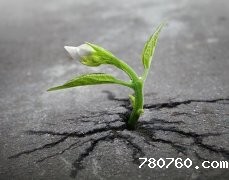 测土配方施肥仪帮助维护好土壤环境