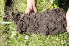 肥料养分检测仪助力土壤施肥 保障作物