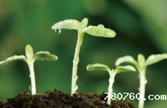 肥料养分检测仪提升粮食产量