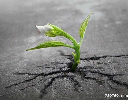 测土配方施肥仪