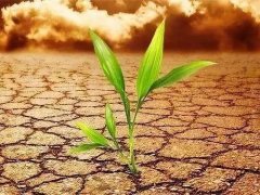 土壤养分测试仪助力合理利用肥料资源